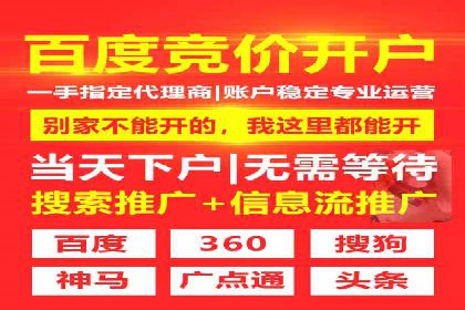 SEM竞价技巧：成功案例揭秘